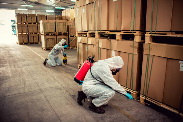 Best Best Pest Control Companies  in Mcfarland, CA