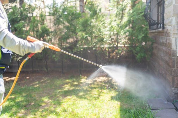 Best Pest Prevention Services  in Mcfarland, CA
