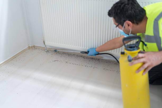 Best Exterminator Services  in Mcfarland, CA