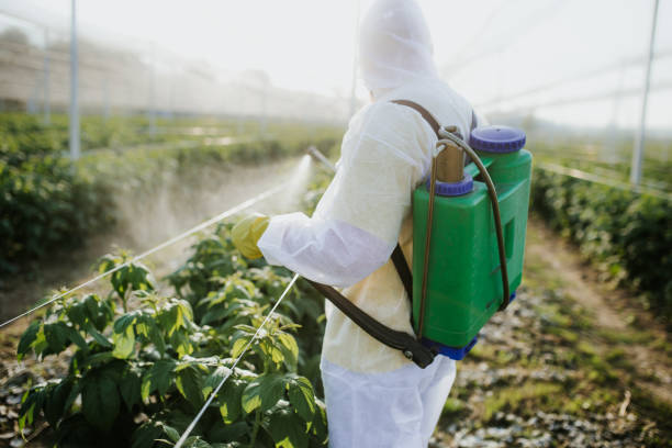 Best Termite Control Services  in Mcfarland, CA